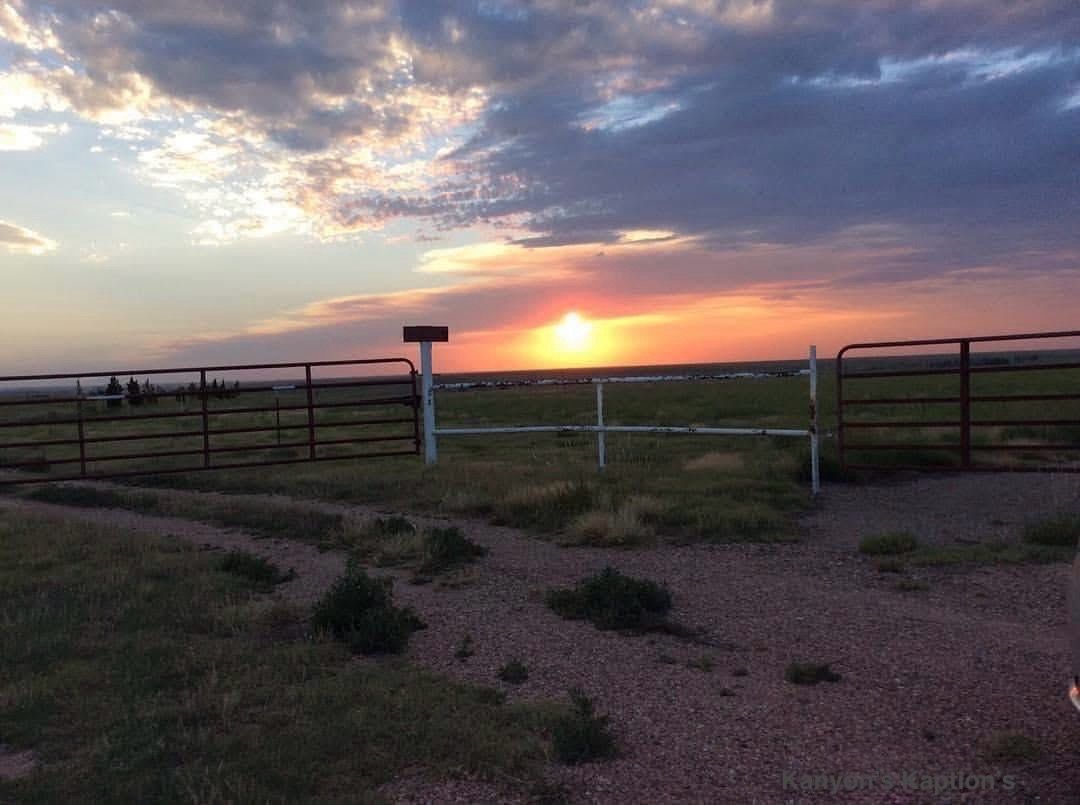 Metal gate and fence silhouetted against a vibrant sunset over an open field.