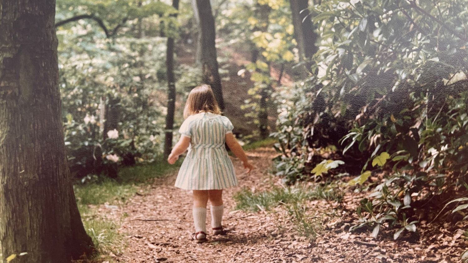 Young child in white dress walking alone on forest path during summer.