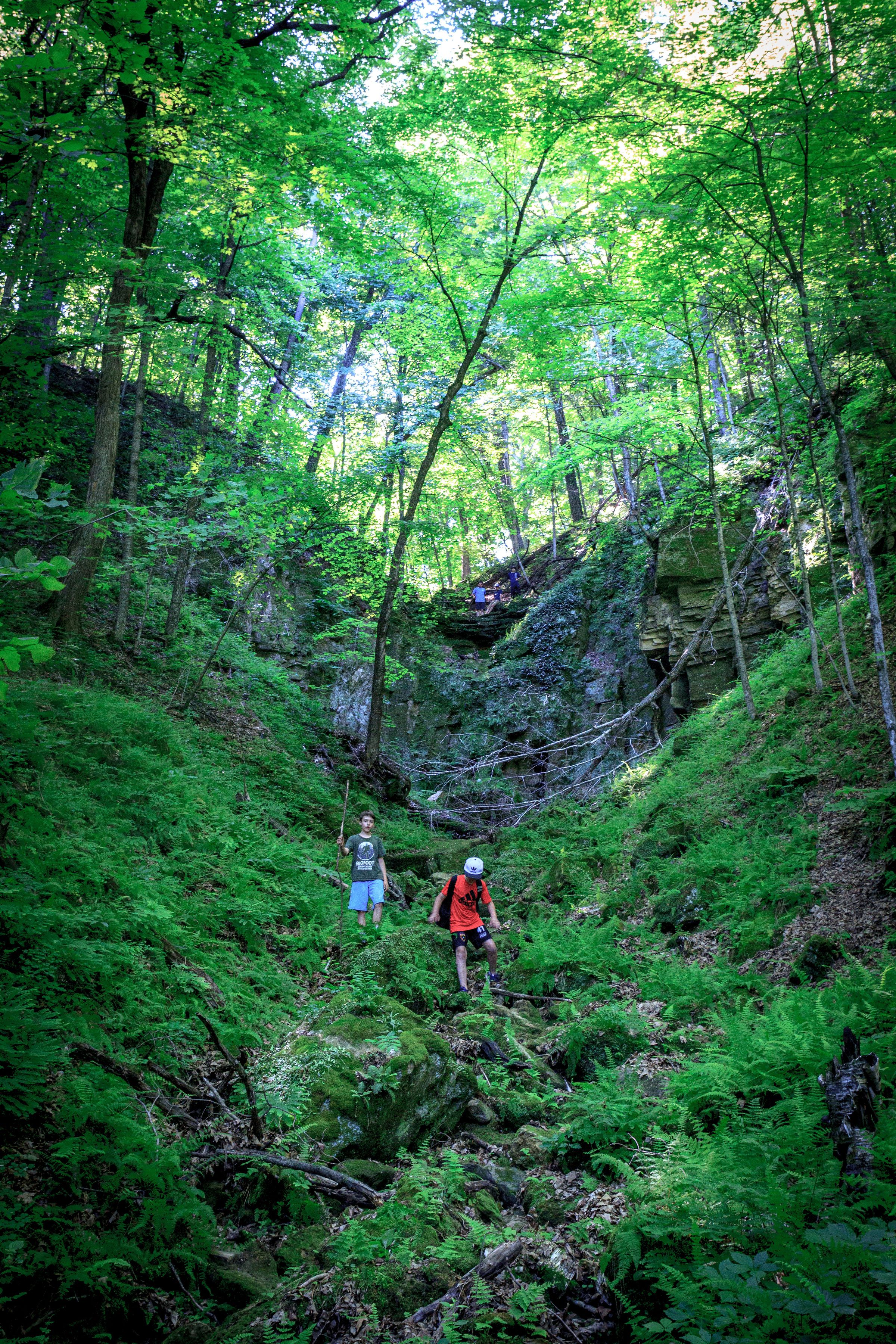 Hikers ascending a steep forest trail surrounded by lush green vegetation and rocky cliffs.