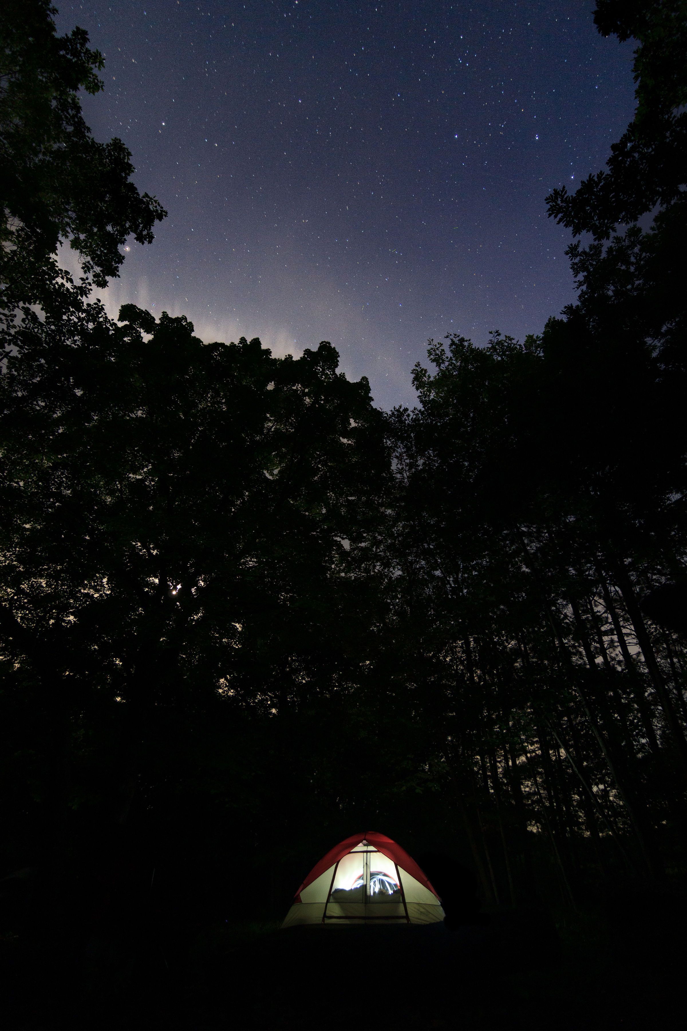 Illuminated camping tent glowing under starry night sky in dense forest.