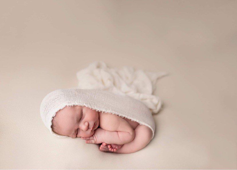 Neutral newborn photography surrey Langley Elizabeth Lang Photography Cloverdale