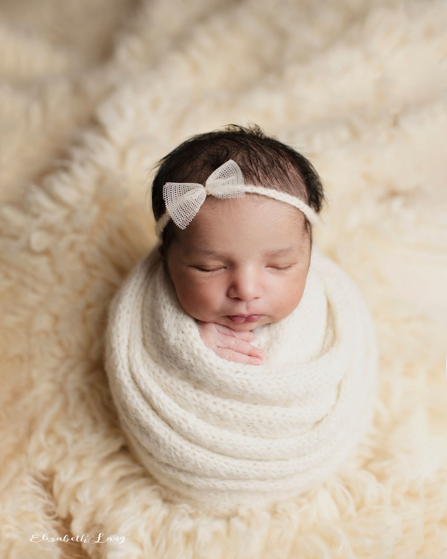 Neutral newborn photography surrey Langley Elizabeth Lang Photography Cloverdale