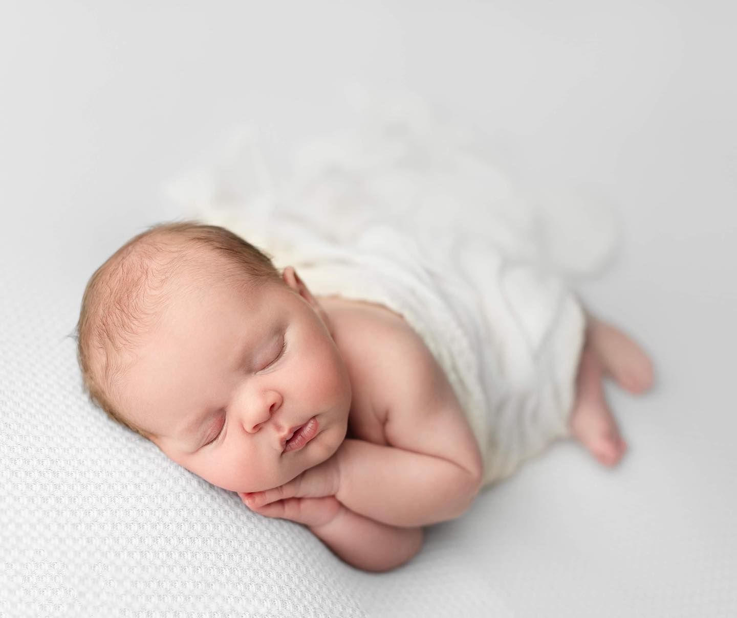 Neutral newborn photography surrey Langley Elizabeth Lang Photography Cloverdale