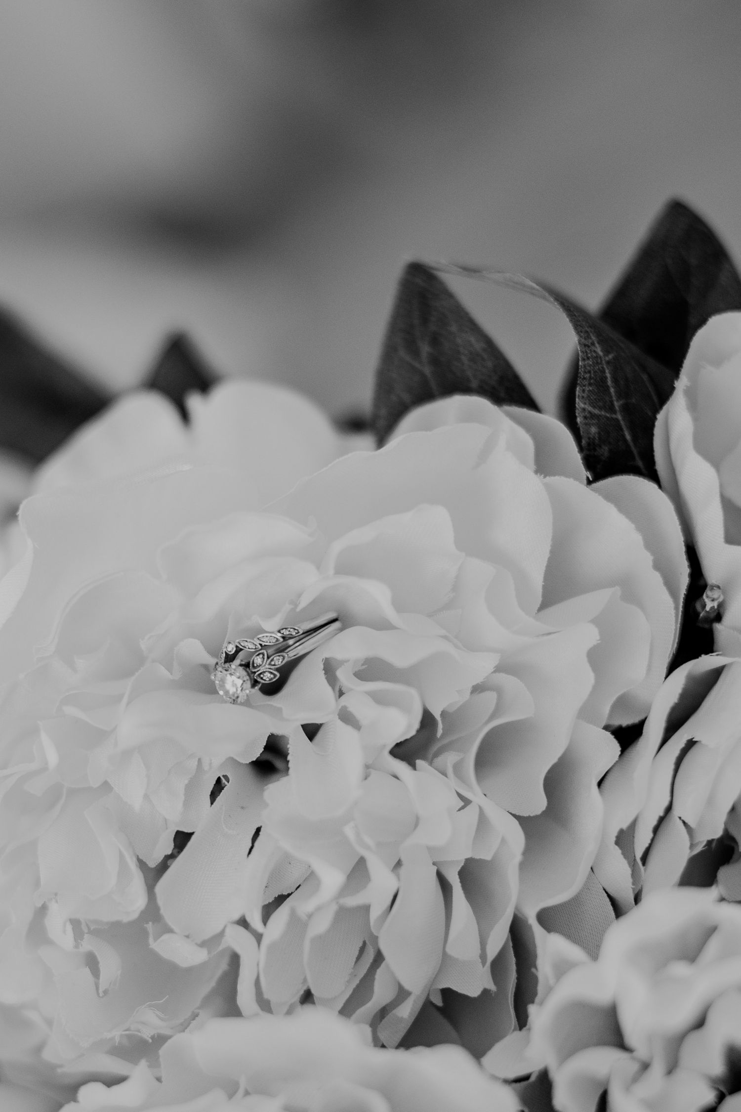 Wedding portrait micro wedding engagement elopement ceremony photographer for events near Cincinnati and blue ash ohio. family motherhood