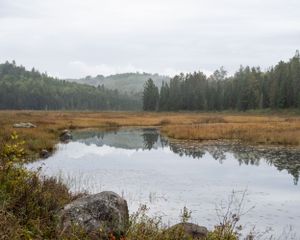 Algonquin Provincial Park