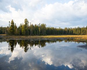 Mizzy Lake Algonquin Provincial Park