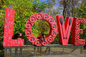 Large red 'LOVE' letters decorated with circular designs create a vibrant outdoor art installation in a park setting.
