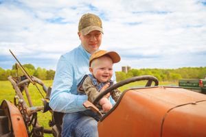 Person driving an orange vintage tractor through a sunny rural field.