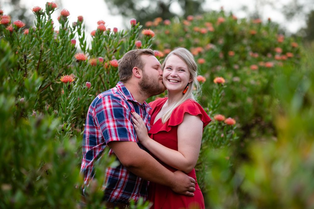 Man kissing his fiancée on the cheek in a lush Protea garden.