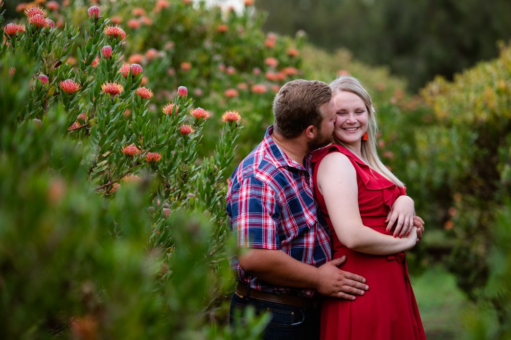 Golden hour engagement photo of a couple sharing a kiss in a sunlit flower field.