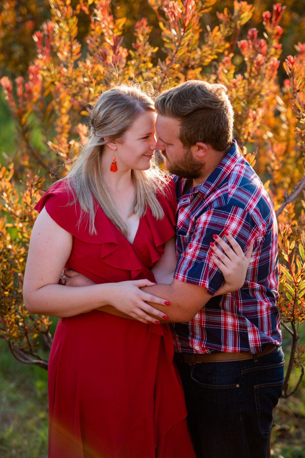 Wide shot of a couple posing in a landscape filled with orange Pincushion Proteas.