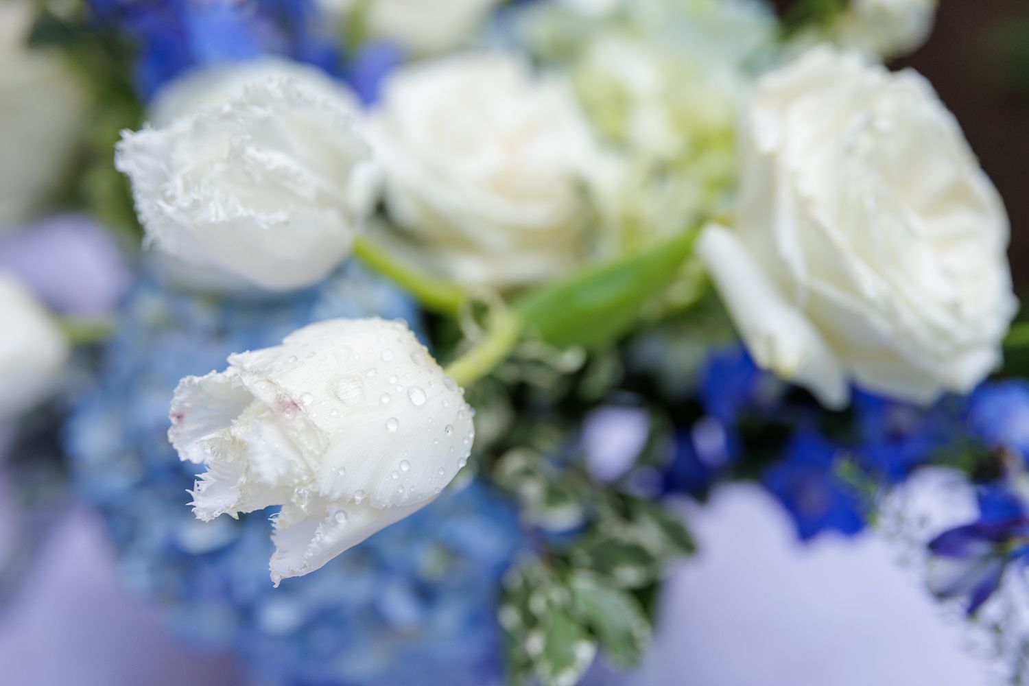 Sydney Wedding Photographer, Wollongong Wedding Photographer, Budget Wedding Sydney, Best Wedding Photography Sydney, Elopement Photographer