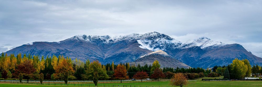 Panoramic view of snow-capped mountains with autumn trees and green fields under cloudy skies in New Zealand.