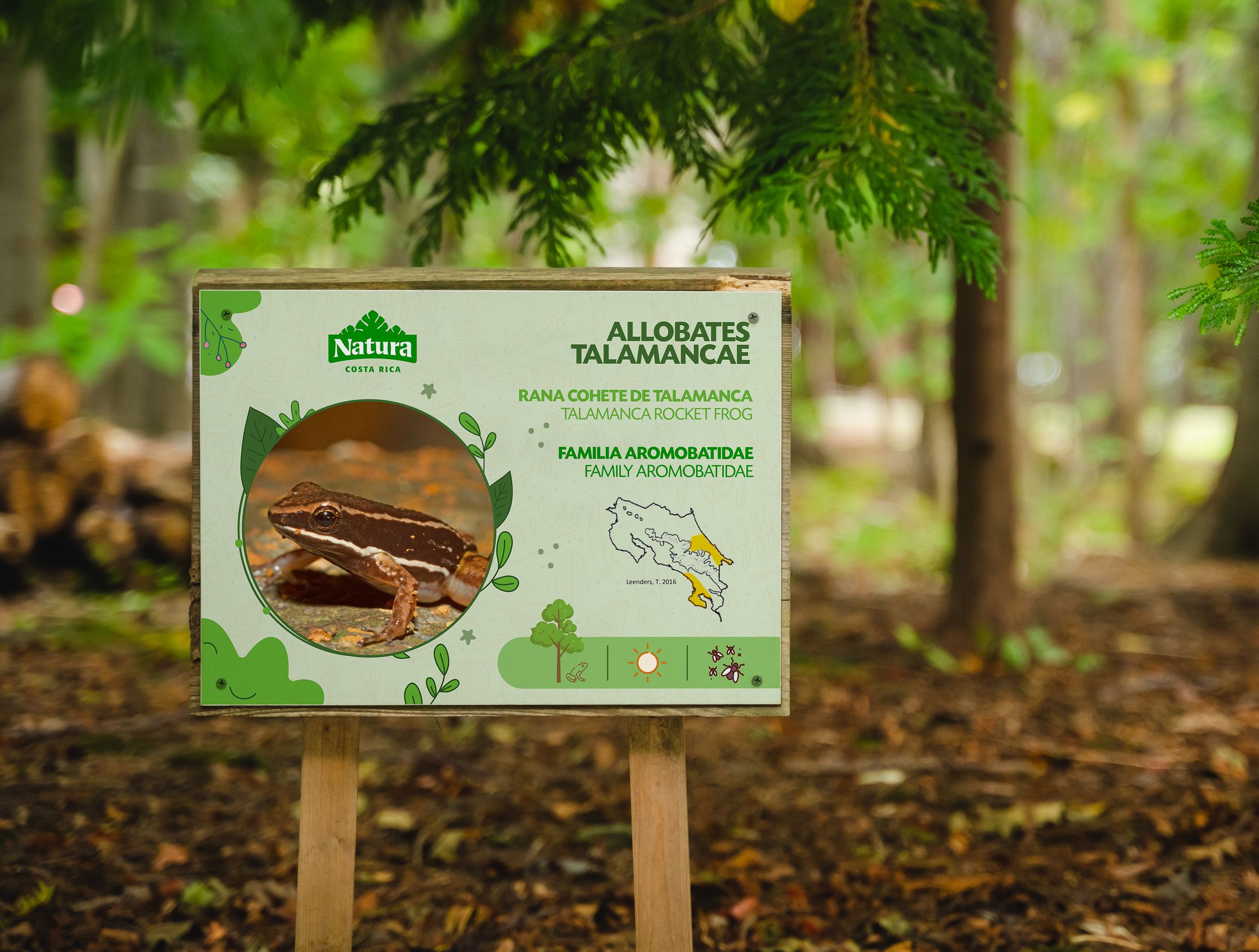 Wooden trail sign displaying wildlife information in a forest setting.