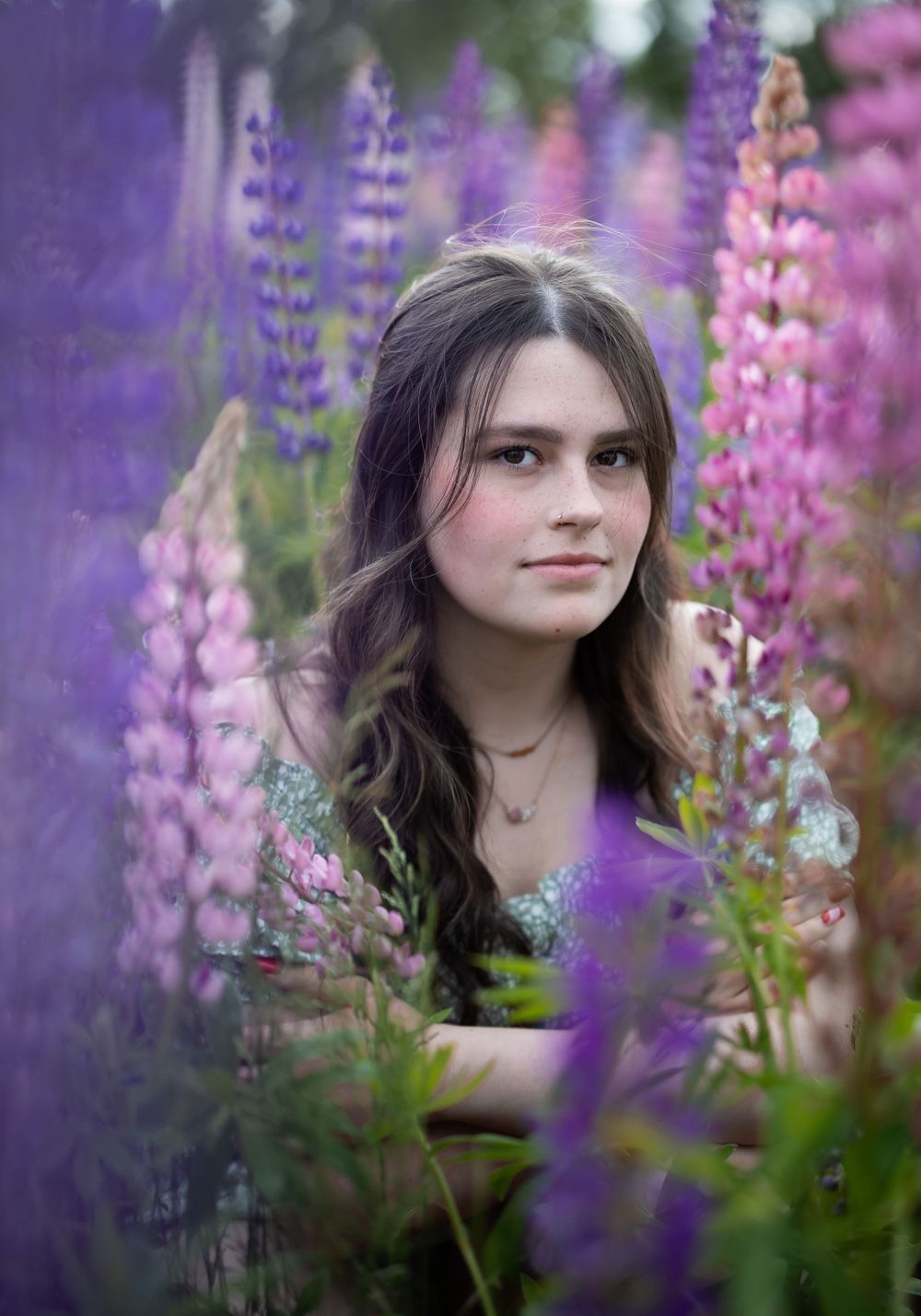 Lupin photo session in Gander, NL