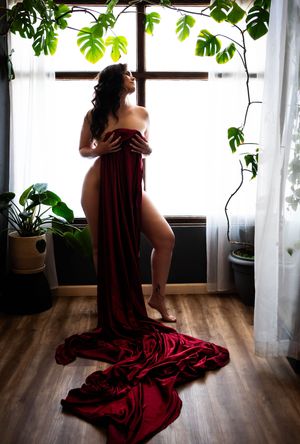 Artistic photo series of a figure in flowing burgundy dress seated by window with hanging plants and natural light.