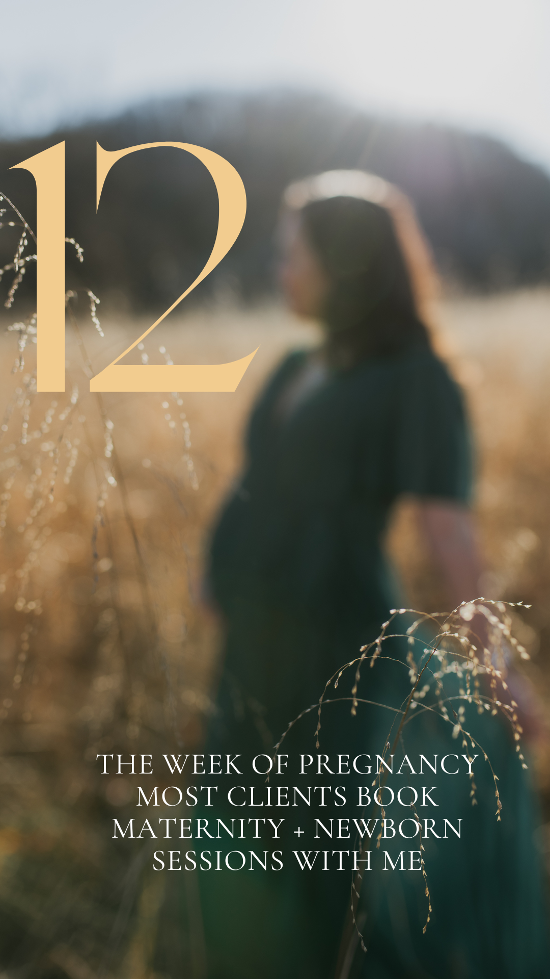 maternity photos at Melton Hill Park in Knoxville, TN