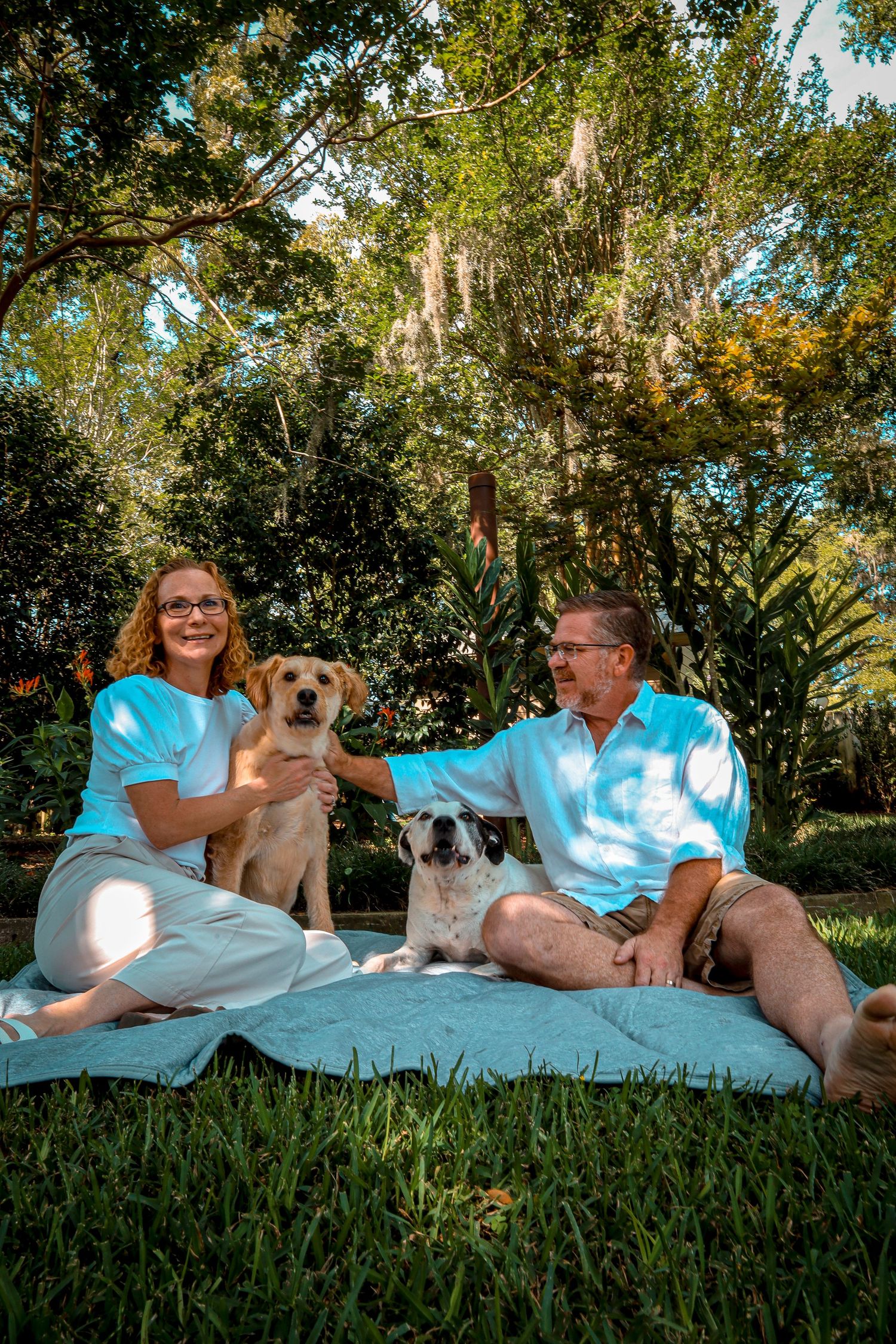 family session , dog