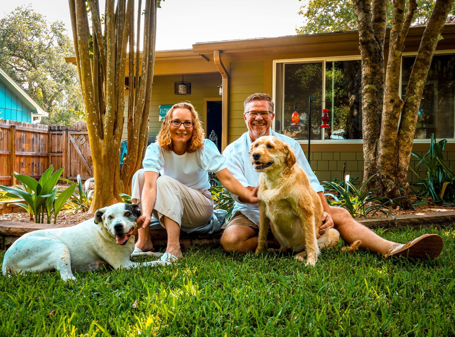 family session , dogs