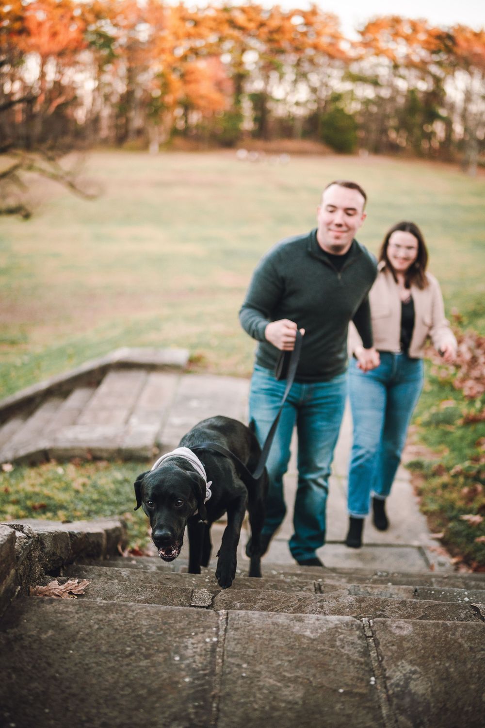 A couple walks their black Lab up stone steps on an autumn day with orange foliage in the background at the Glenview Mansion in Rockville MD