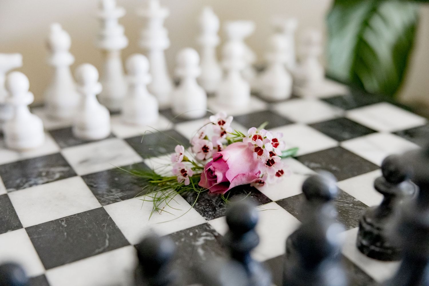 Pink flowers and berries rest on a black and white chess board with white chess pieces in the background.