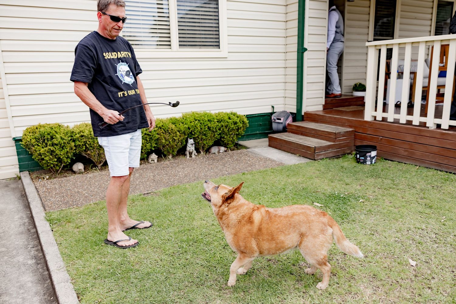Person in sunglasses and shorts playing with a golden retriever in a front yard.