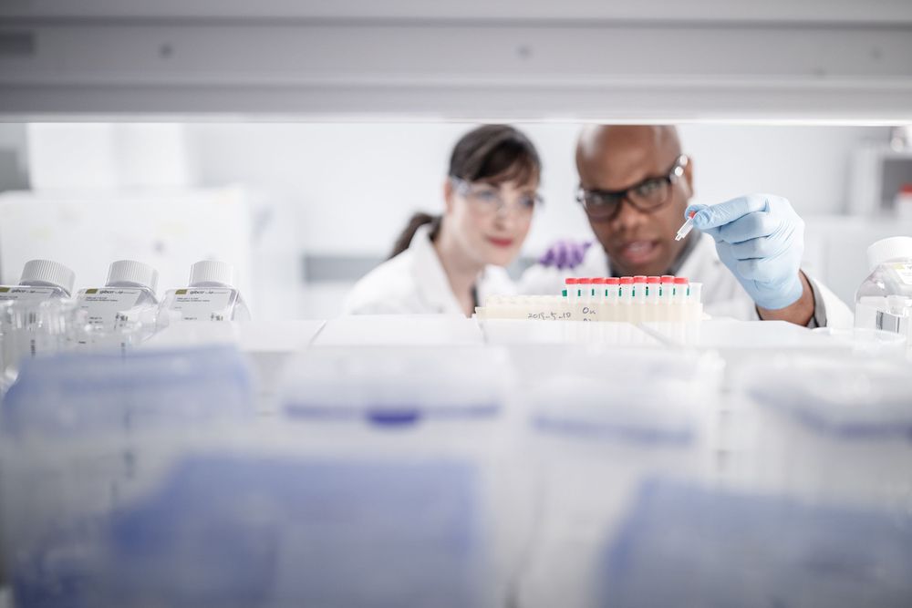 Scientists examining test tubes in modern laboratory setting.