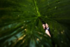Photo artistique d’un couple de mariés photographié au travers d’une feuille verte mouillée, dans la serre du Centre de la nature de Laval.