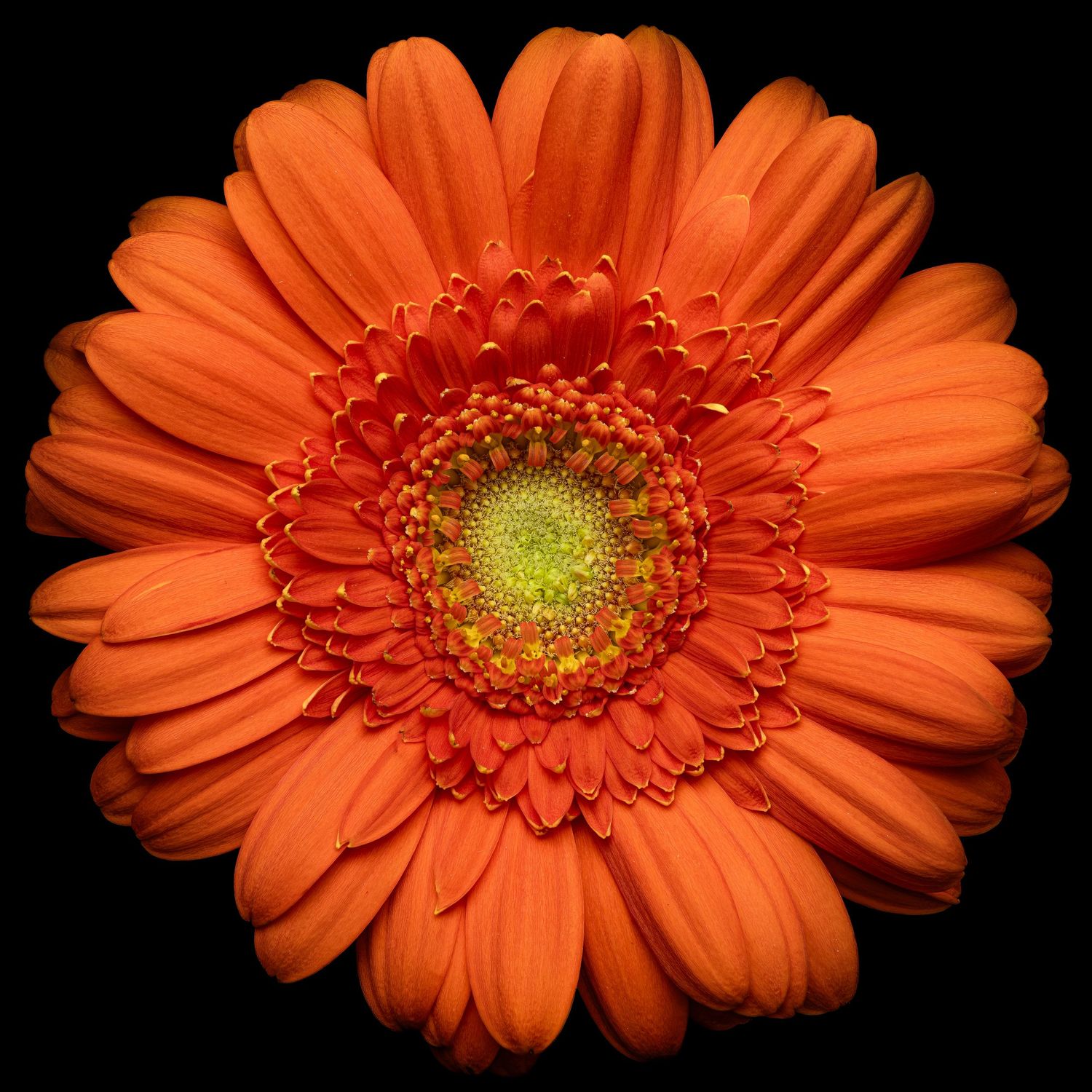 John Peters Photography