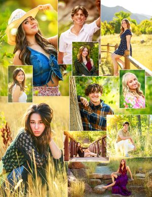 Outdoor portrait photography collage featuring natural sunlit scenes with golden fields and mountains in the background.