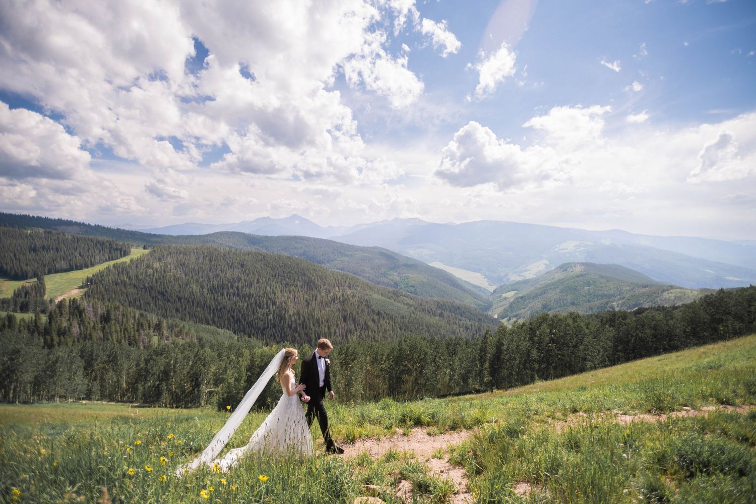 Sweeping mountain vista with rolling hills and evergreen forests under blue skies.
