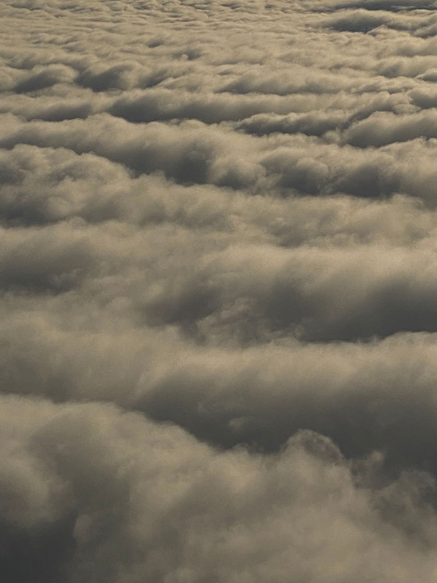 In the Clouds