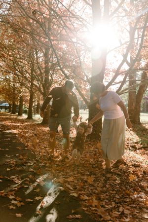Family enjoying an autumn walk together through fallen leaves in golden sunlight.