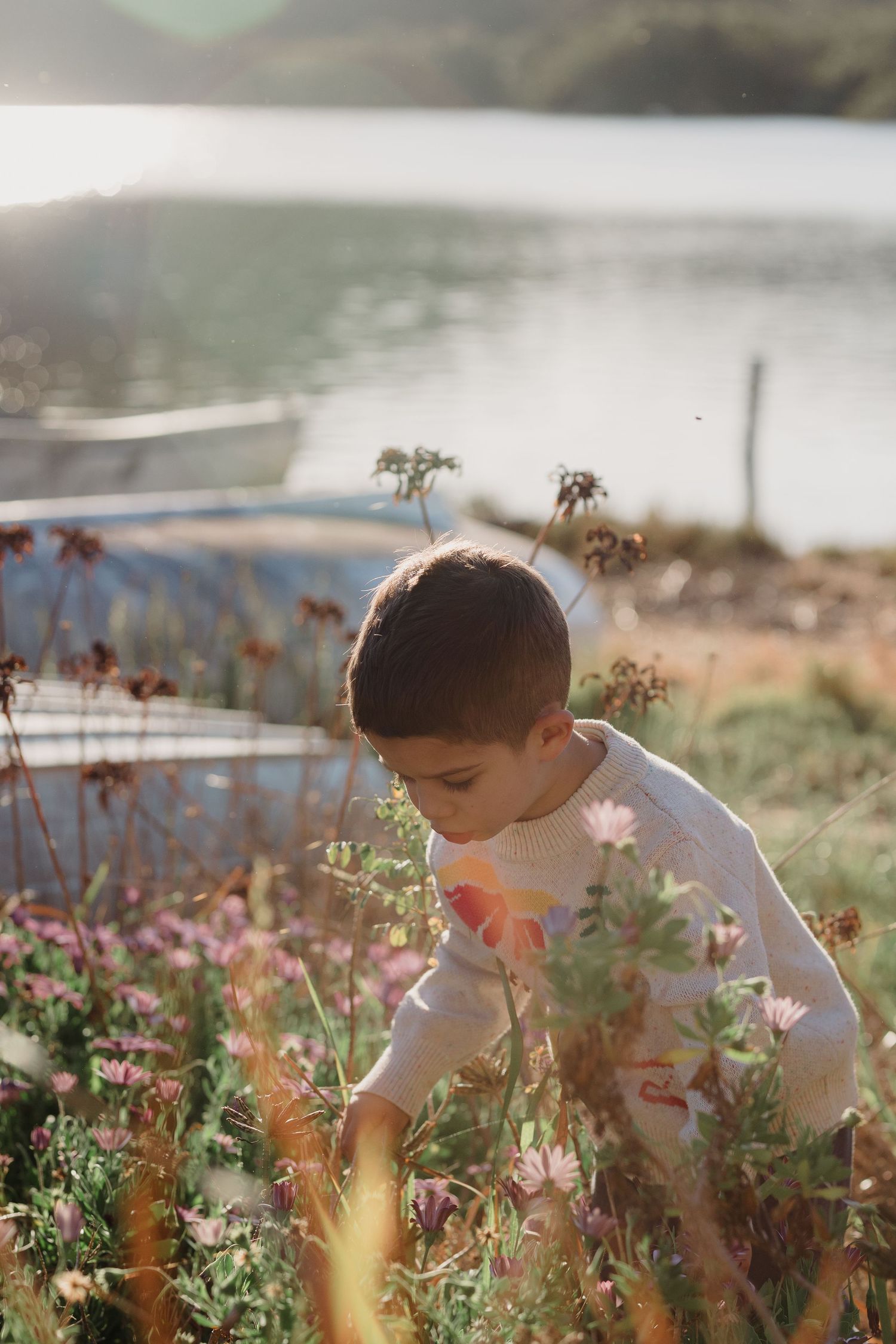 Child exploring wildflowers by a serene lake during golden hour.