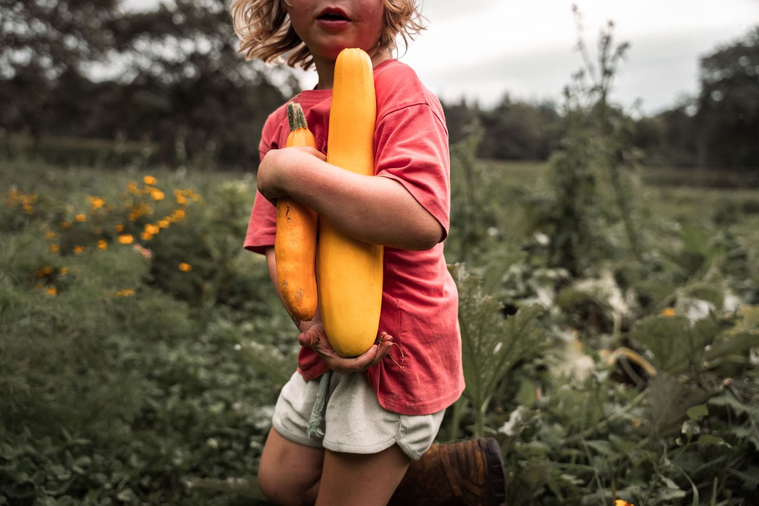 A person in a coral shirt holds a yellow toy in a wildflower field.