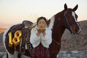 Horse wearing decorative western riding gear with number 18 visible.