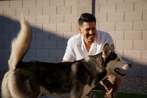 Playful husky dog running and playing in a backyard with concrete wall.