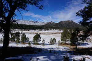 Snow-covered mountain landscape with scattered evergreen trees under bright blue skies.