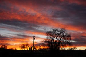 Dramatic red and orange sunset sky with silhouetted trees in panoramic view.