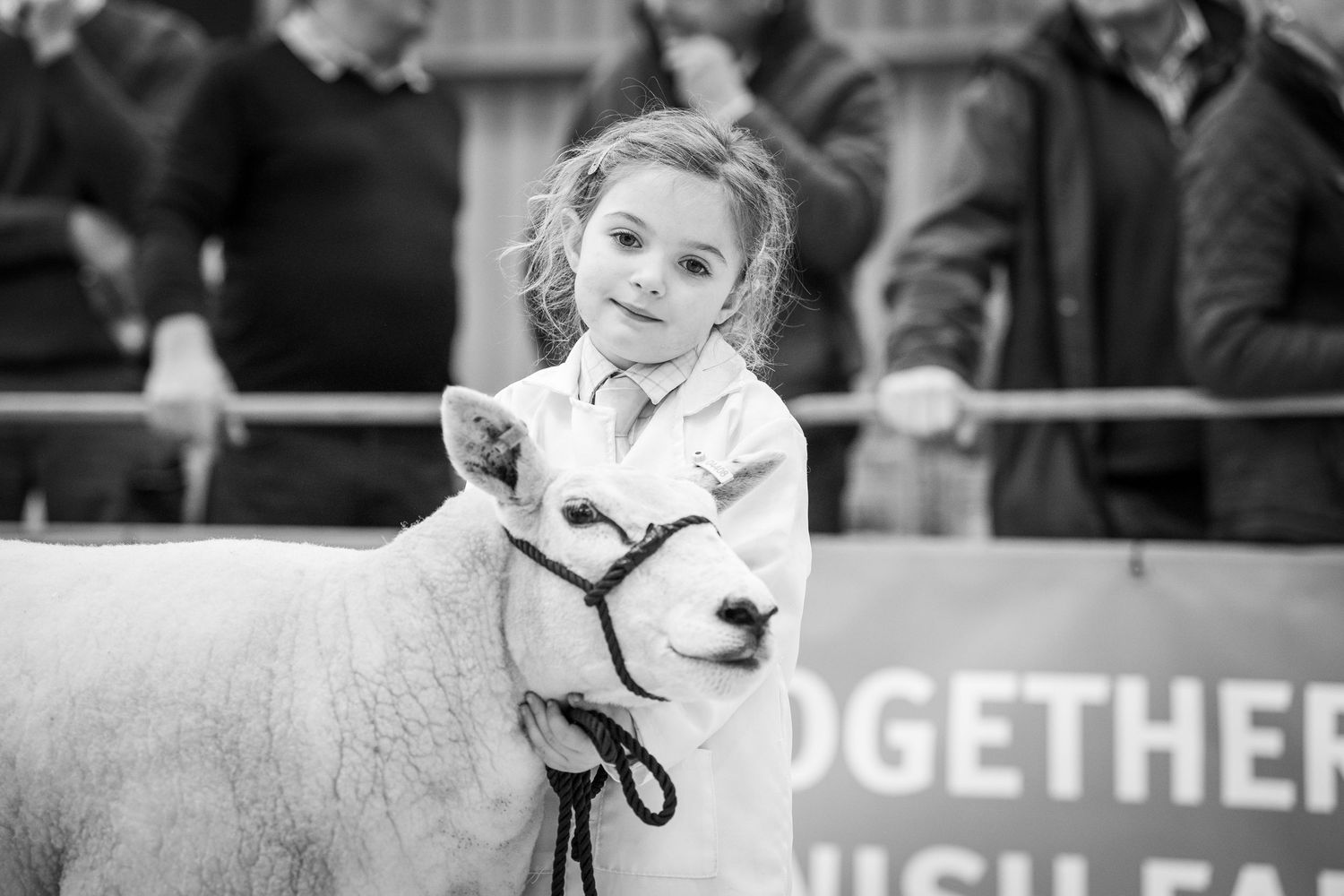 A series of black and white photos showing children showing sheep at a livestock competition.