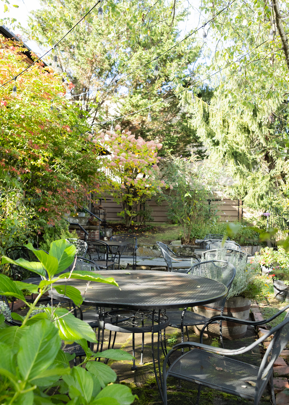 Lush outdoor restaurant patio surrounded by colorful autumn trees with black metal tables and chairs.