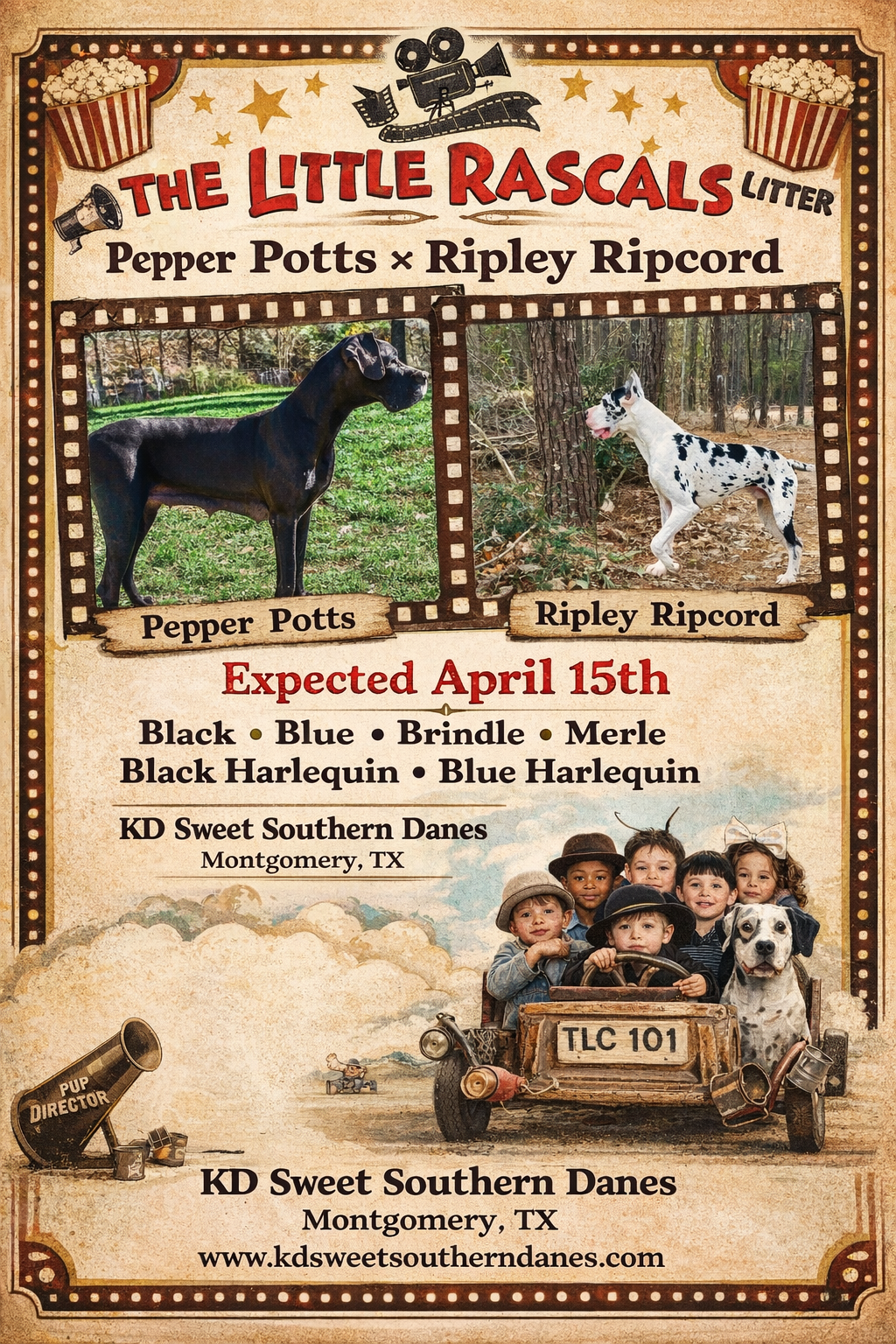 A Harry Potter-themed dog breeding announcement featuring two dogs in house scarves with magical items and a castle backdrop.