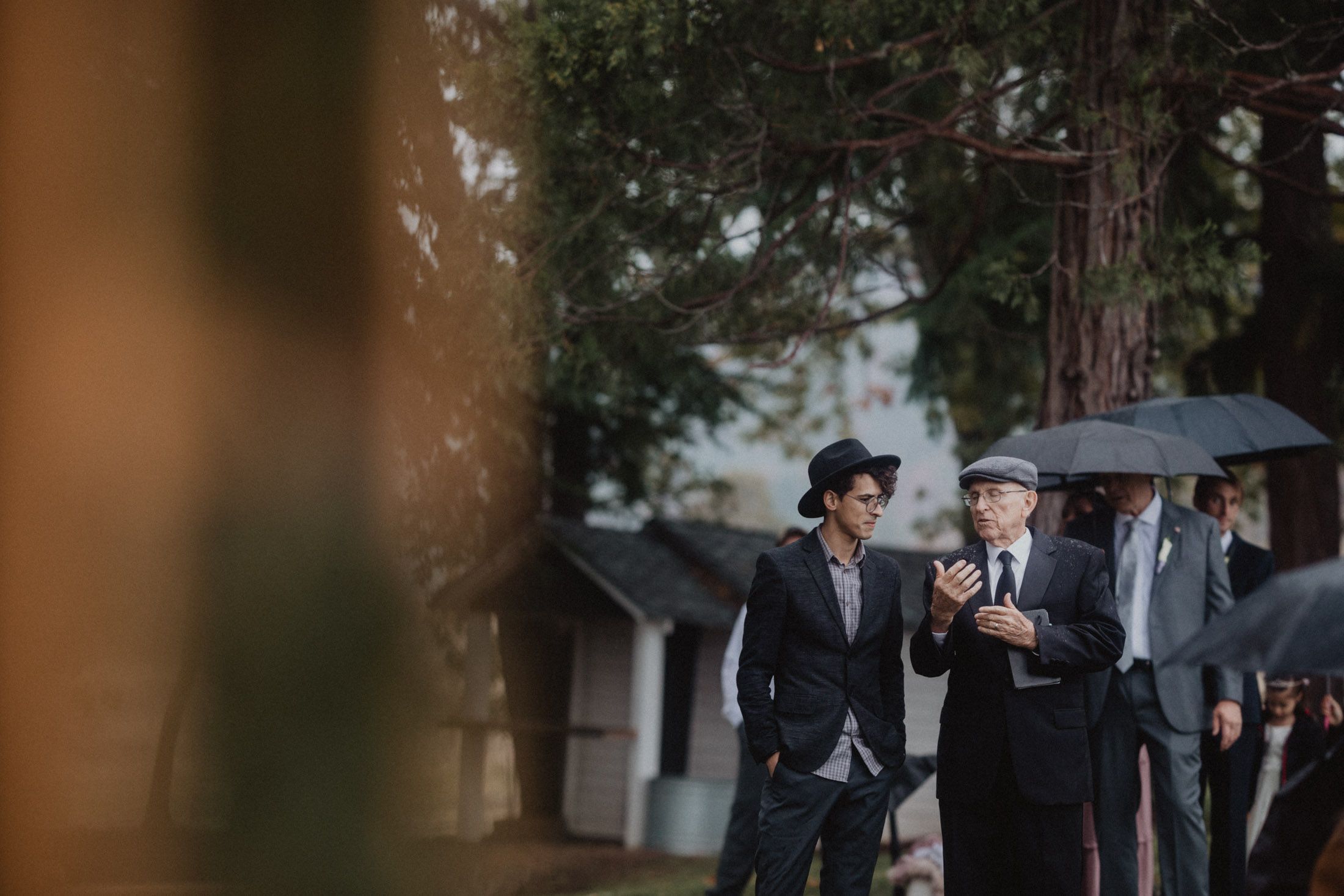 Wedding guests in formal attire walk together holding umbrellas on a tree-lined path during a rainy day.
