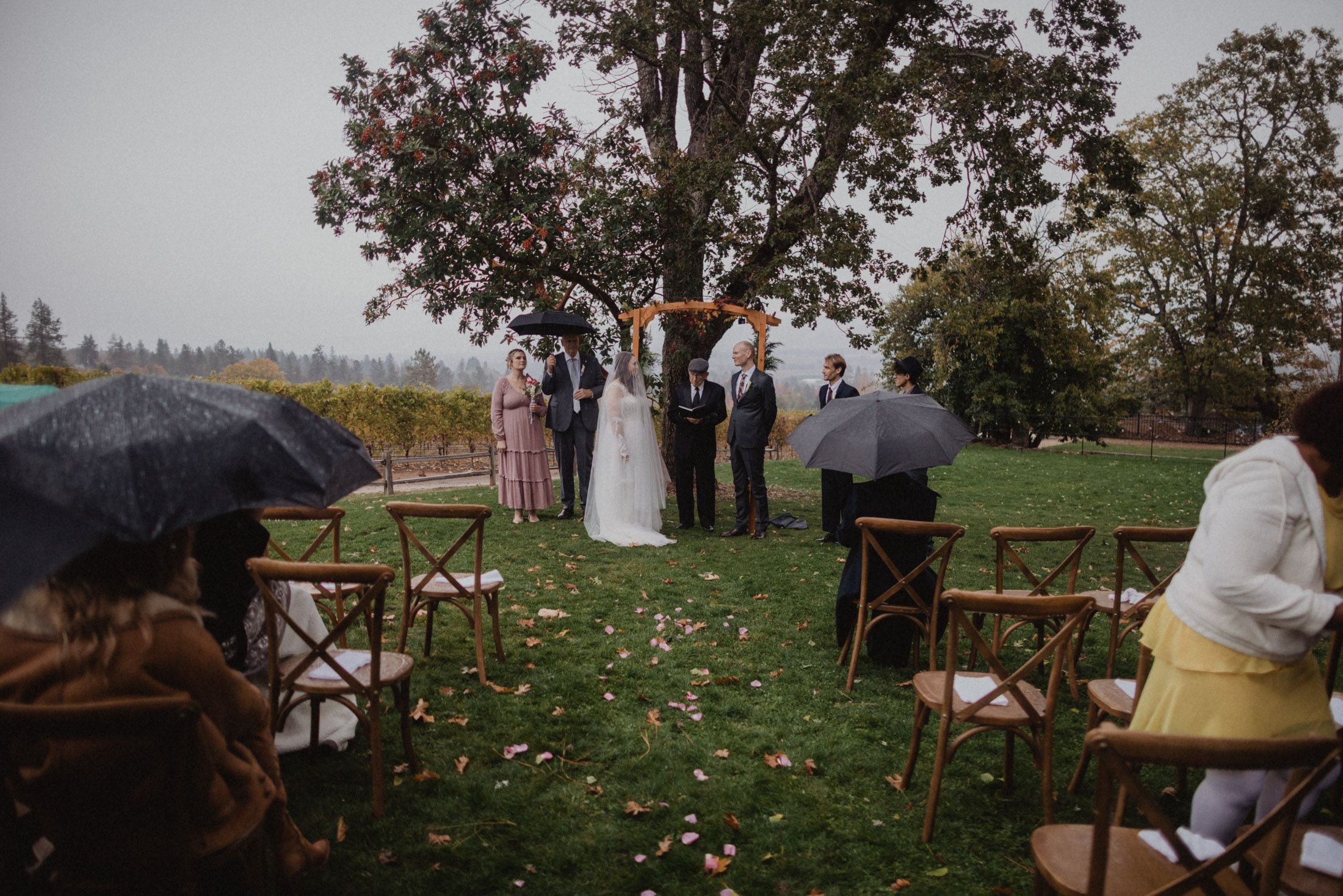 Outdoor autumn wedding ceremony setup with wooden chairs and umbrellas under a large tree with falling leaves.