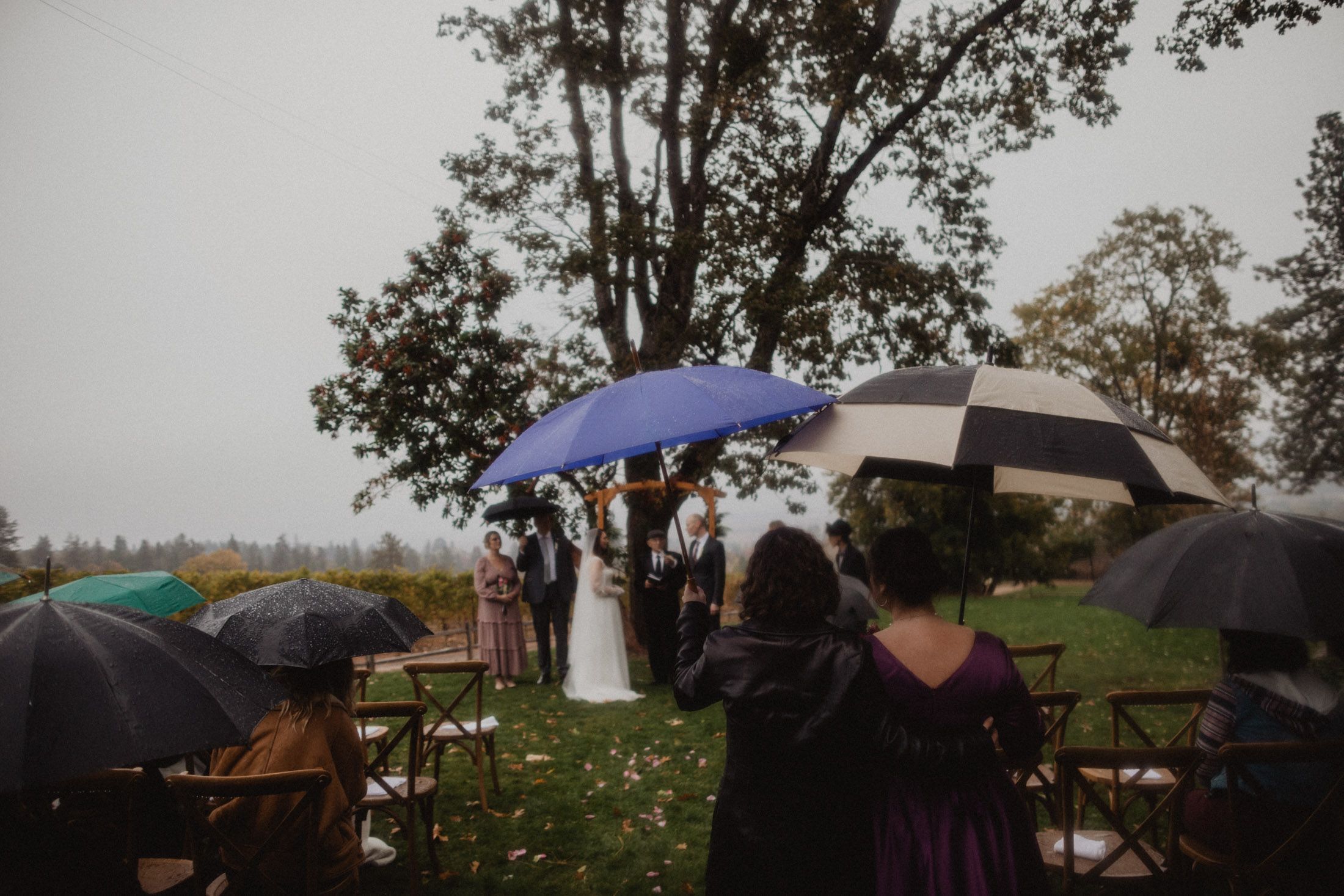 Wedding ceremony takes place outdoors in the rain with guests holding umbrellas on a misty hillside.