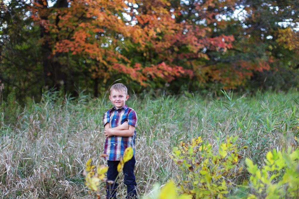 A young figure stands in a meadow with autumn foliage and colorful trees in the background.