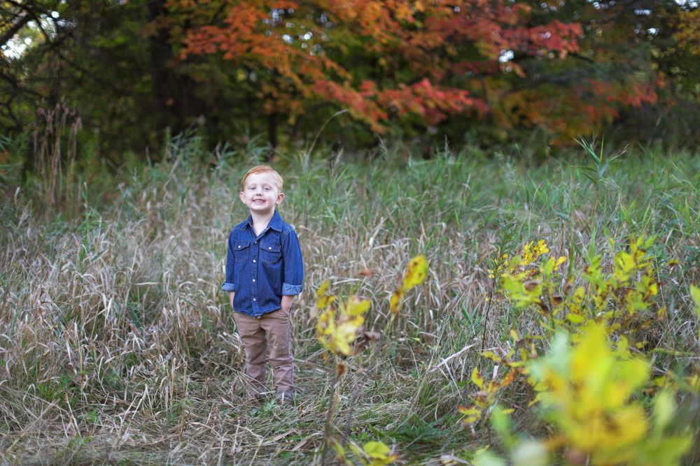 Autumn landscape series showing colorful fall foliage and grassy meadow scenes in natural outdoor settings.
