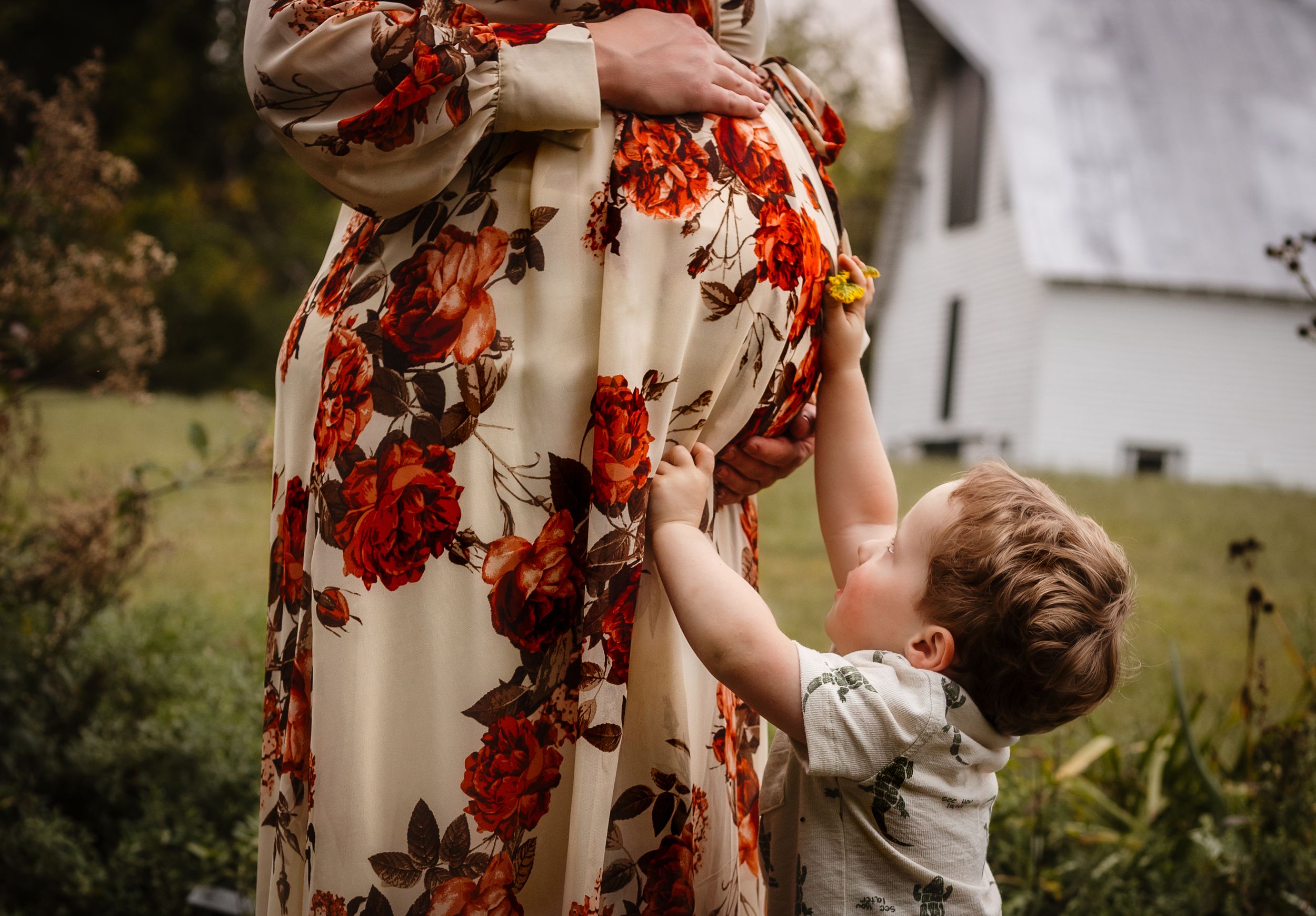 Charlottesville photographer, maternity, family, newborn, baby, big brother holds a yellow flower against his mother's pregnant belly.