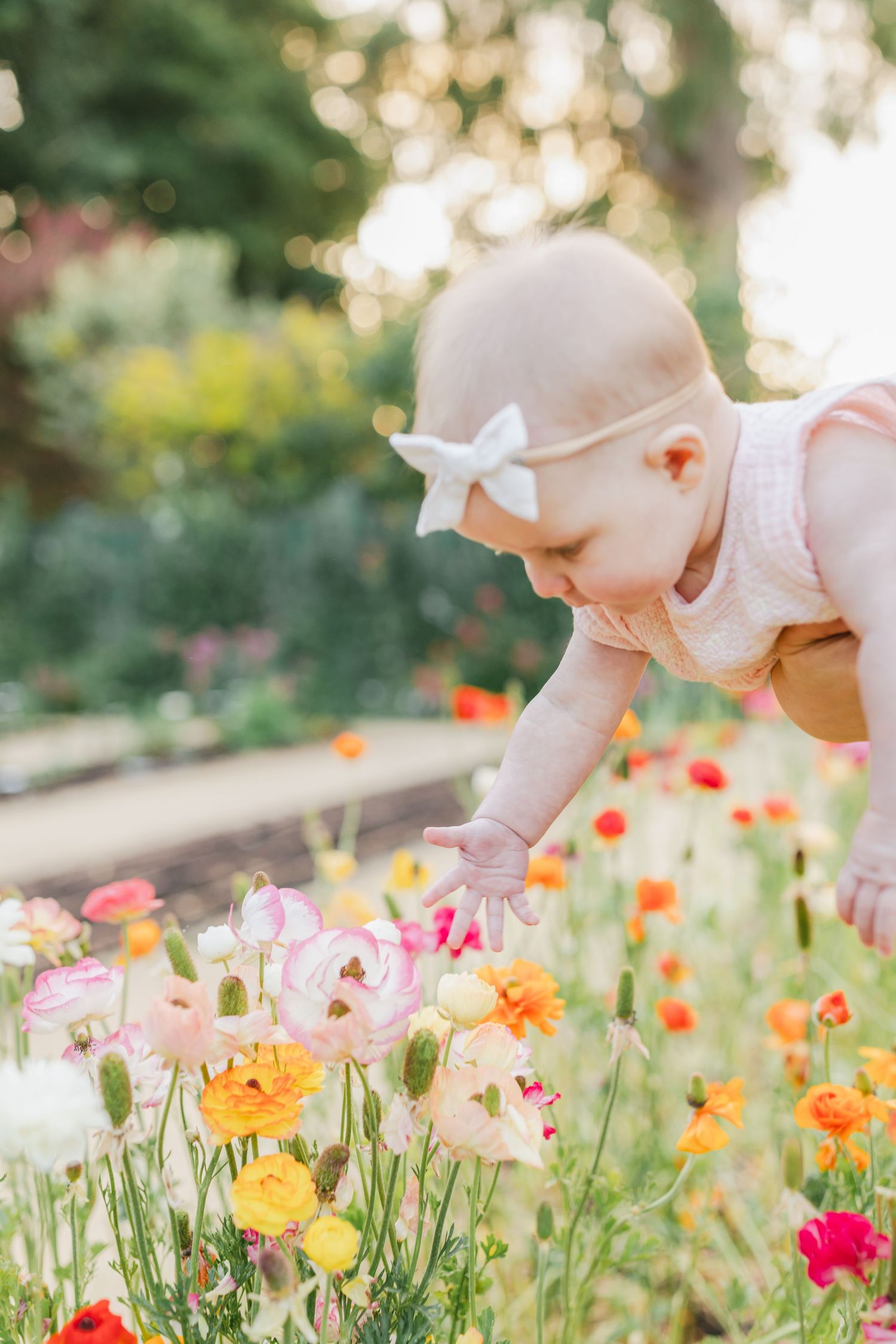 Baby reaching down to touch delicate pink and orange poppies blooming in a sunlit garden.