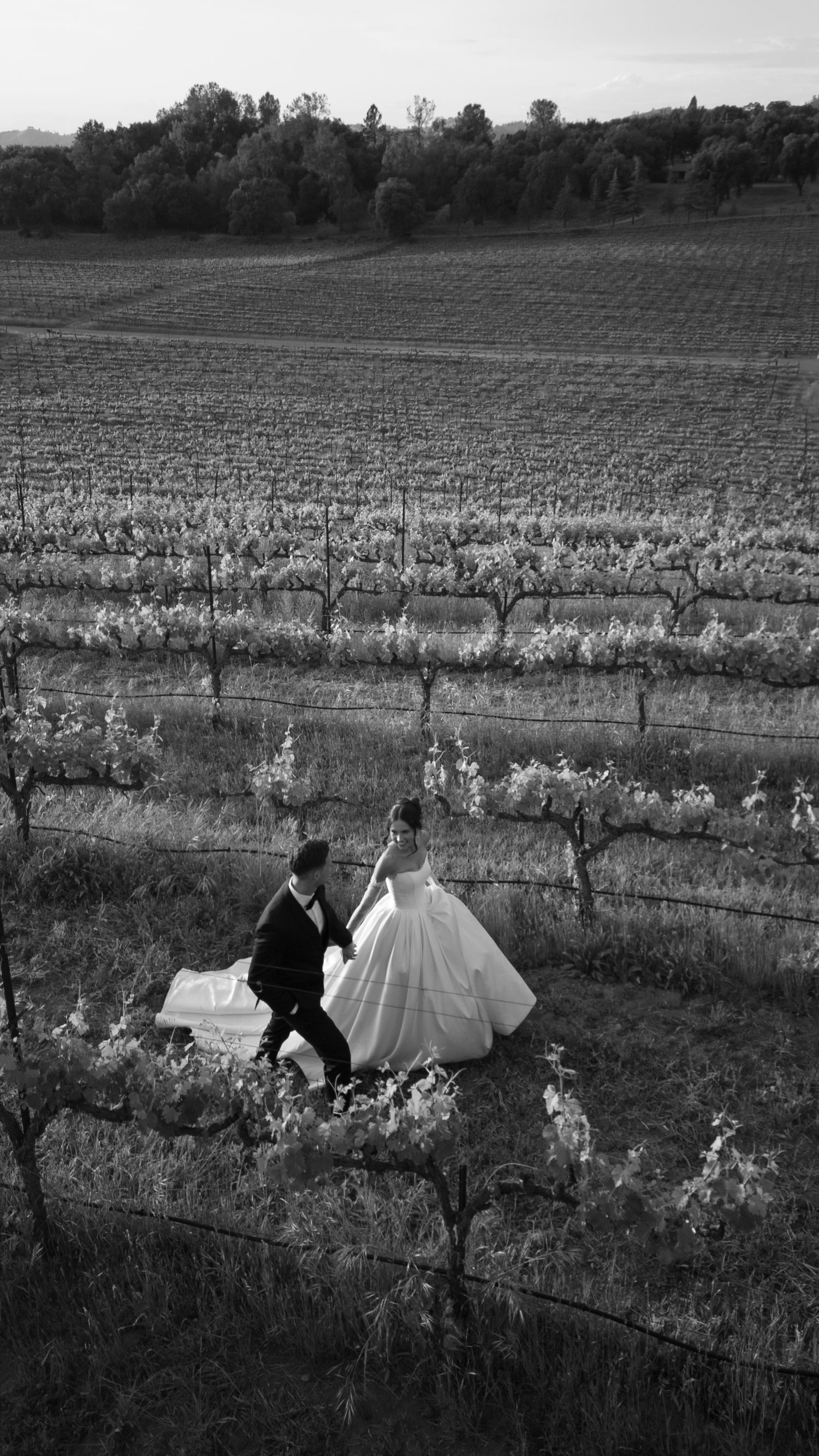Black and white panoramic sequence showing figures running through a vineyard with flowing fabric in the wind.